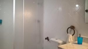 波尔图Silver Porto - AL的带淋浴、卫生间和盥洗盆的浴室