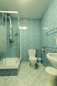 波兹南卫城住宿加早餐旅馆的浴室配有卫生间、淋浴和盥洗盆。