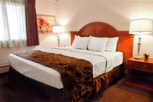 罗切斯特Centerstone Plaza Hotel Soldiers Field - Mayo Clinic Area的酒店客房设有一张大床和两盏灯。