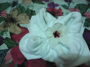 San JorgeHotel California的床上白色的毛巾,上面有白色的鲜花