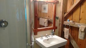 BarreLodge at Millstone Hill的浴室配有盥洗盆和带镜子的淋浴