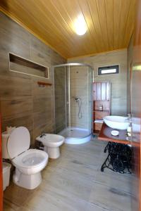 Alto do SulQuinta do Fragoso的一间带两个卫生间、淋浴和盥洗盆的浴室