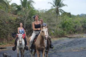 科克莱斯Finca Valeria Treehouses Glamping的一群骑马的人在土路下骑着