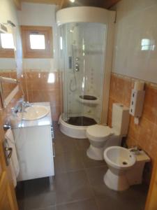 Villarrubio圣因西德罗旅馆的带淋浴、卫生间和盥洗盆的浴室