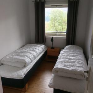 米尔克河谷Mørkve Apartement的带窗户的客房内的两张床
