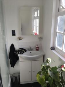 坎伯利赫斯特本住宿加早餐旅馆的浴室设有水槽、镜子和植物