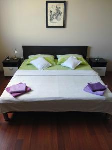 克罗诺维察Apartments Kristina的一间卧室配有一张带紫色枕头的大床