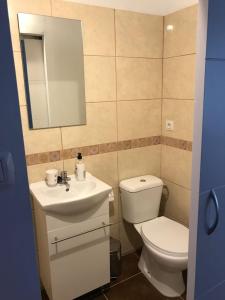 拉拉古纳Apartamentos La Concepción的一间带卫生间、水槽和镜子的浴室