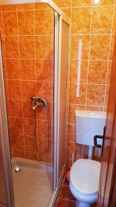 兹拉蒂博尔Guesthouse Ramović的带淋浴、卫生间和淋浴的浴室