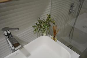 阿尔科谢蒂10 Boutique House的浴室水槽上方有植物