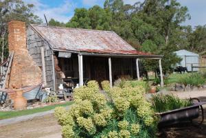Metcalfe曼库索乡村小屋农家乐的花园中带锈蚀屋顶的古老房屋