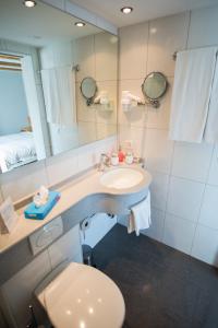 Hertenstein诺伊豪斯餐厅酒店的一间带水槽、卫生间和镜子的浴室
