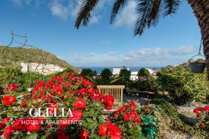 乌斯蒂卡Clelia Case Vista Mare的读书红花的Clilla酒店海滩旅馆标志
