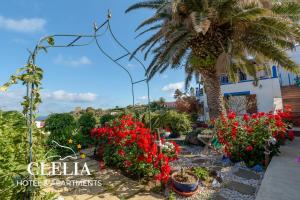 乌斯蒂卡Clelia Case Vista Mare的种有红色花卉和棕榈树的花园
