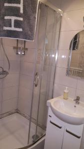 BiesiekierzNoclegi u Oksany的带淋浴和盥洗盆的浴室