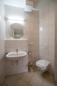帕绍祖尔特里福特斯皮尔酒店的一间带水槽、卫生间和镜子的浴室