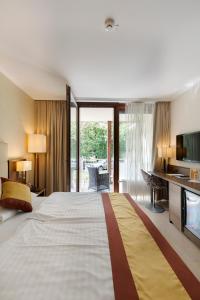 巴登赛克尔巴登酒店的酒店客房设有一张大床和一台电视。