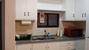 查兰卡诺亚李的舒适之家公寓的厨房配有水槽和微波炉