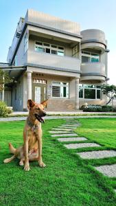 金宁乡东一点紅金墩园的坐在房子前面的草地上的狗