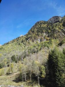阿兰尼亚·瓦尔塞西娅Rifugio tra i monti的晴天被树木覆盖的山