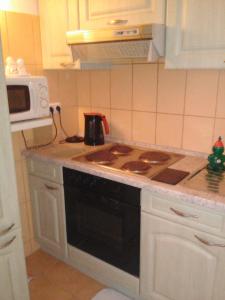 捷克利帕丹尼洛瓦公寓的厨房配有炉灶和微波炉。