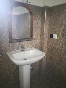 达瓦拉维瓦拉维公园景观酒店的一间带水槽和镜子的浴室
