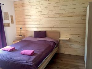萨尔茨堡萨尔斯堡城市一室公寓 的一间卧室配有一张带两个粉红色枕头的床