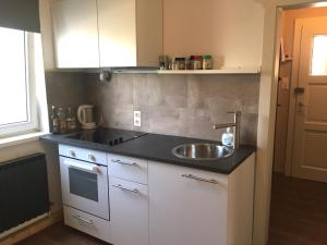 萨尔茨堡萨尔斯堡城市一室公寓 的厨房配有水槽和台面