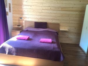 萨尔茨堡Book-A-Room Salzburg Apartment 5-6-7-8的一间卧室配有一张带两个粉色枕头的紫色床