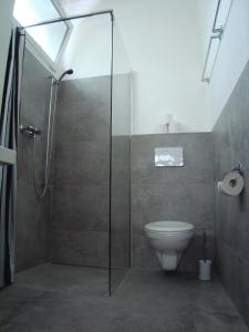 索洛图恩埃莉萨公寓的一间带玻璃淋浴和卫生间的浴室