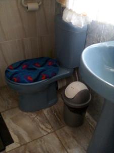 约翰内斯堡麦考利旅馆的浴室设有蓝色的卫生间和水槽。