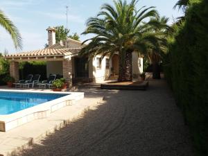 利乌玛Villa Pepito的一座带游泳池和棕榈树的房子