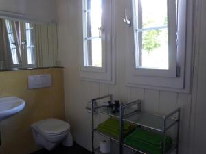 伯尔尼伯尔尼木屋的一间带卫生间和水槽的浴室以及两个窗户。