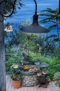 维克艾库塞维拉凯蒂度假村的挂在桌子上的挂着植物的吊灯