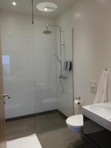 霍芬迪玛一室公寓公寓式酒店的带淋浴、卫生间和盥洗盆的浴室