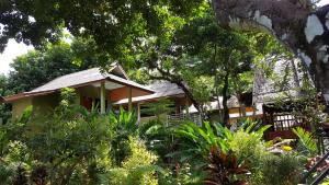 考索考索丛林小屋度假村的被树木和植物所环绕的房子