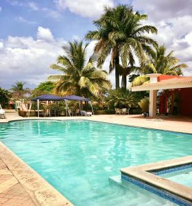 科马亚瓜Hotel Santa Maria de Comayagua的一座棕榈树环绕的大型游泳池