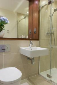 剑桥米尔公园城市住宿公寓的一间带水槽、卫生间和淋浴的浴室