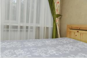 卡拉甘达Apartment on Pichugina的一间卧室配有一张带窗帘的床和窗户