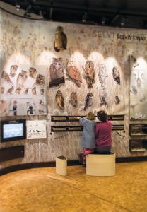 LiminkaHotelli Liminganlahti的正在博物馆看展品的妇女和儿童