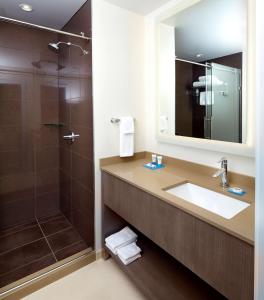 匹兹堡匹兹堡布鲁姆菲尔德莎迪赛德悦府酒店的一间带水槽和淋浴的浴室