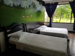 比亚维森西奥Hotel Campestre Kosta Azul的绿墙客房的两张床