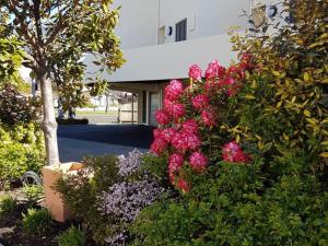 基督城Bella Vista Motel & Apartments Christchurch的大楼前的一束粉红色的花