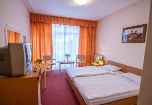 德布勒森普兰滕酒店的酒店客房设有两张床和电视。
