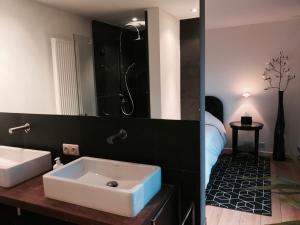布鲁塞尔Modern Loft Duplex Penthouse Free parking的一间带水槽和淋浴的浴室