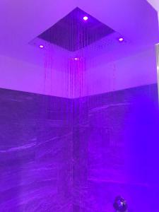 帕苏·斯泰尔维奥艾尔伯格瓜尔托皮罗瓦诺酒店的紫色客房,配有紫色灯淋浴