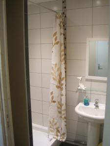 帕雷·勒·毛尼尔圣路易斯住宿加早餐旅馆的浴室配有淋浴帘和盥洗盆。