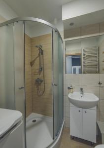 杜什尼基-兹德鲁伊Apartament Grosik的带淋浴和盥洗盆的浴室