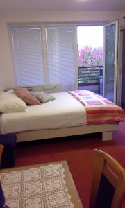 摩拉瓦托普利采Apartment Maja Moravske Toplice的一间卧室设有一张大床和一个窗户。