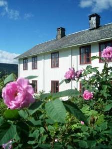 赫根尼斯戴尔农场度假屋的前面有粉红色花的白色房子